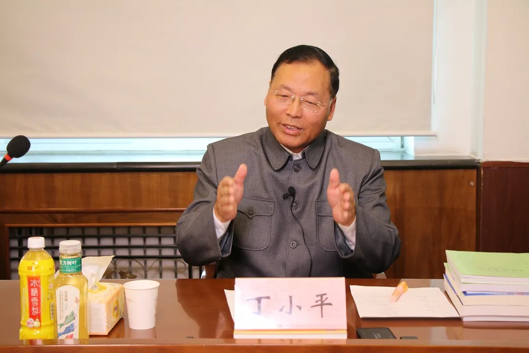 丁小平：中医现代化、人的复杂性研究是人类医学的方向